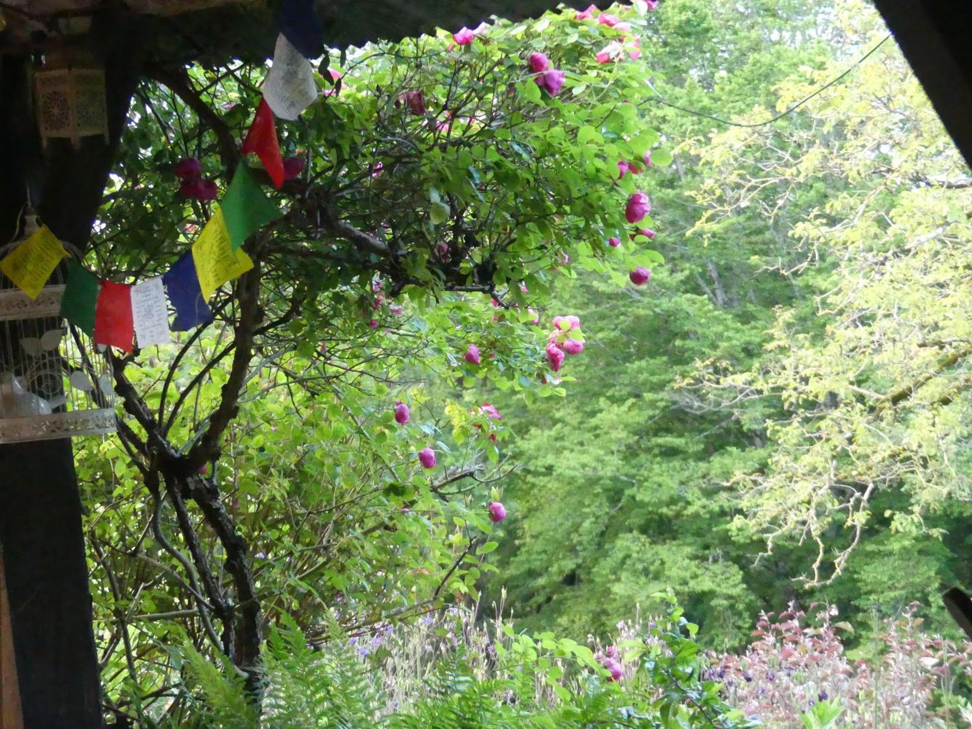 Bed and Breakfast Au Coeur Des Loges Saint-Bonnet-de-Bellac Zewnętrze zdjęcie